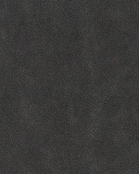 Duralee DF16289 79 CHARCOAL Fabric