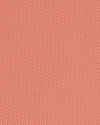 Duralee DF16291 31 CORAL Fabric