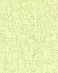 Duralee 90953 533 Celery Fabric