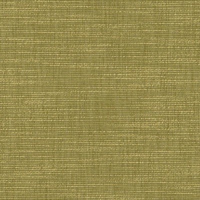 Duralee DK61836 LIME