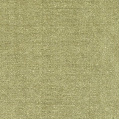Duralee DQ61335 OLIVE