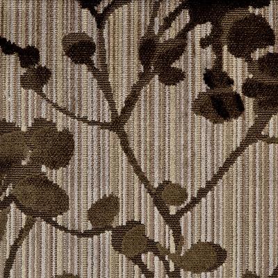 Highland Court 190185H 582