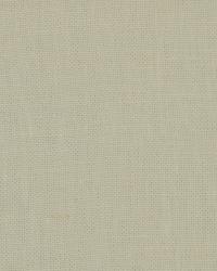 Robert Allen Kilrush White Fabric