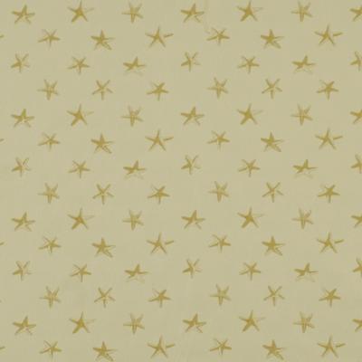 Robert Allen SALLYS SHELLS SAND