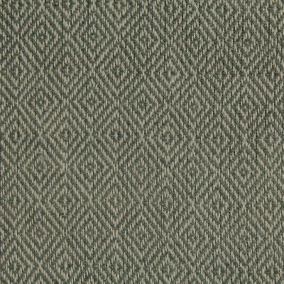 Robert Allen FREDERICKSON TERRAIN