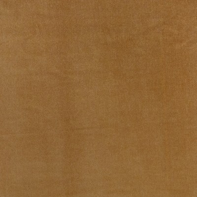 Telafina BENNETT # 705 BUTTERSCOTCH