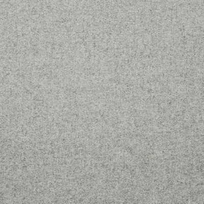 Telafina THOM # 602 RHINO