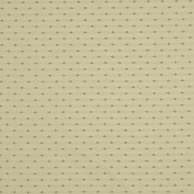 Robert Allen FLOWER POINTS CLOUD