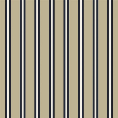 Ralph Lauren Cricket Stripe Blue