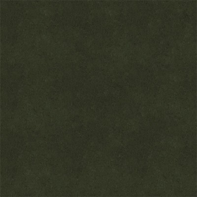 Ralph Lauren Topcoat Loden