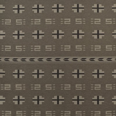 Ralph Lauren DANCING ARROWS BLNKT CHURRO              