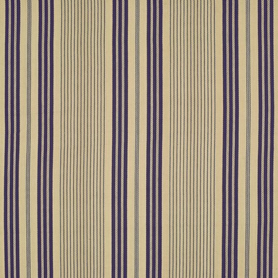 Ralph Lauren SALINAS STRIPE       INDIGO              