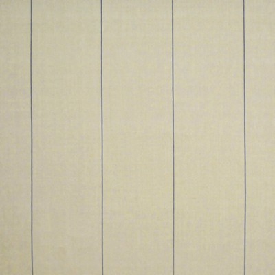 Ralph Lauren ICE HOUSE STRIPE DENIM