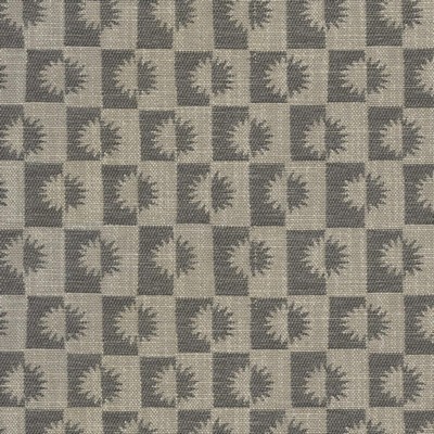 Waverly Sunrise Charcoal