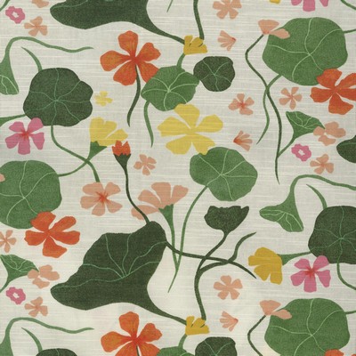 Waverly Nasturtiums Nectar