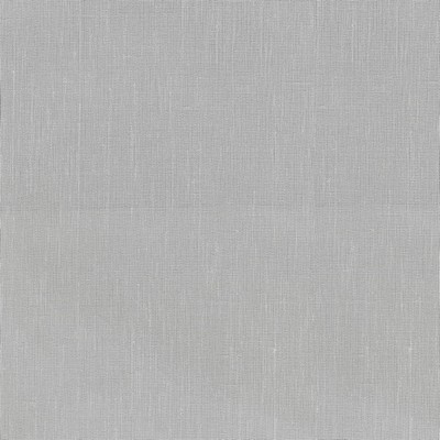 P K Lifestyles Ariana Silver