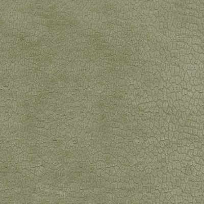 P K Lifestyles Perf Pebblestone Sage