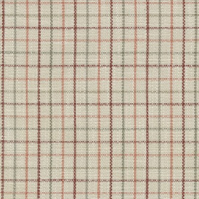 P K Lifestyles Keep in Check Coral