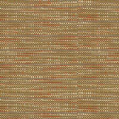 Waverly TABBY            JEN TWILIGHT