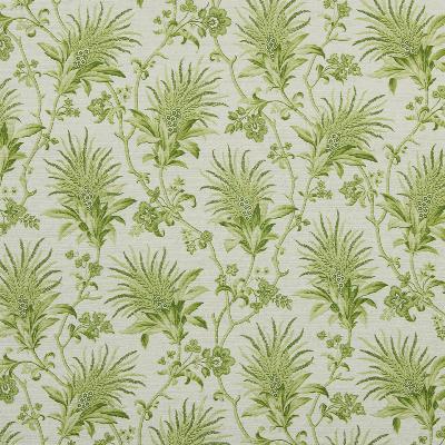 Robert Allen DRAYTON PARK PEAR