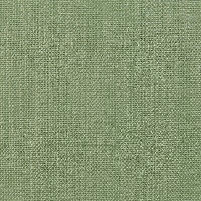 Robert Allen GLAZED LINEN PATINA
