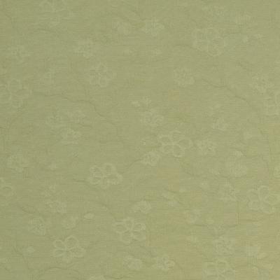 Robert Allen EARLY BLOSSOM LEEK