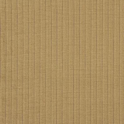 Robert Allen TABOO LICHEN