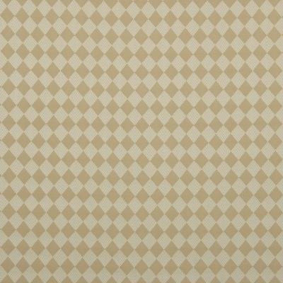 Robert Allen JESTERS CLOTH TOPAZ