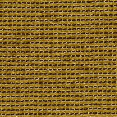 Robert Allen SOUTH COAST AGAVE