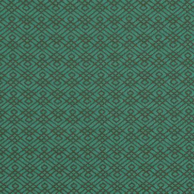 Robert Allen WALKING MAZE AQUATIC