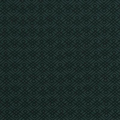 Robert Allen WALKING MAZE BAYOU