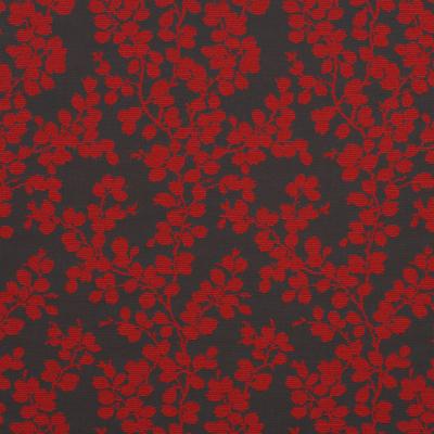 Robert Allen APPLE TREE POMODORO