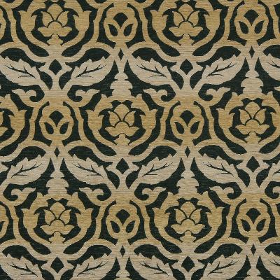 Robert Allen OMBRE FRAME PANTHER