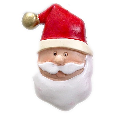 Carnation Home Fashions  Inc Santa Claus Resin Shower Curtain Hooks Multi