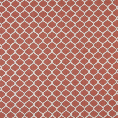 Charlotte Fabrics 10008-03 