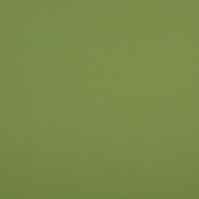 Charlotte Fabrics 10104-06 