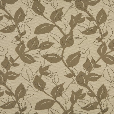 Charlotte Fabrics 10128-01 