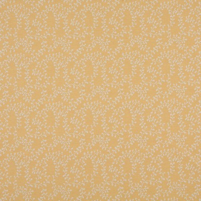 Charlotte Fabrics 10135-01 