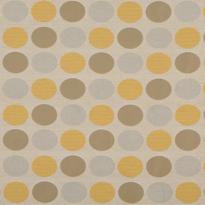 Charlotte Fabrics 10136-01 