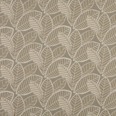 Charlotte Fabrics 10137-01 