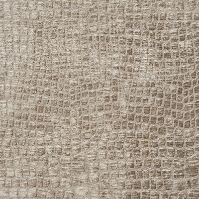 Charlotte Fabrics 10151-07 