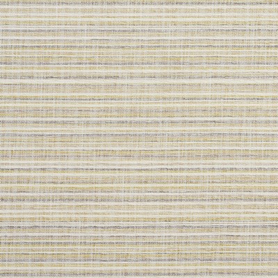 Charlotte Fabrics 10460-01 