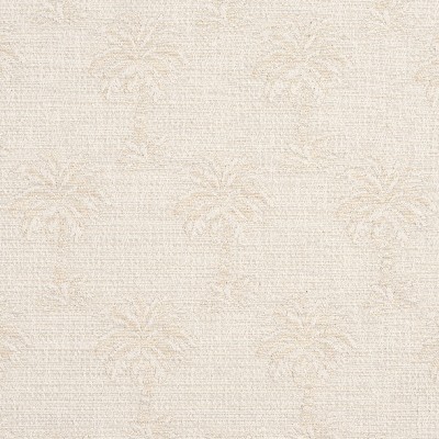 Charlotte Fabrics 1077 Palm Beach