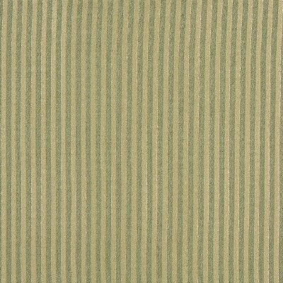 Charlotte Fabrics 1129 Spring Stripe