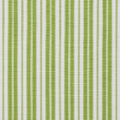 Charlotte Fabrics 1294 Lime Classic