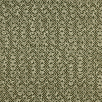 Charlotte Fabrics 1466 Cactus