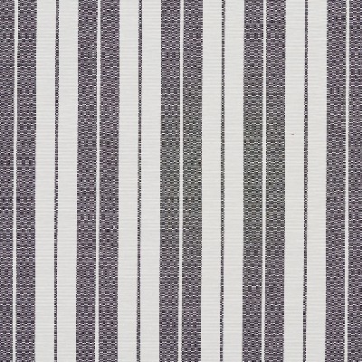 Charlotte Fabrics 1584 Onyx Stripe