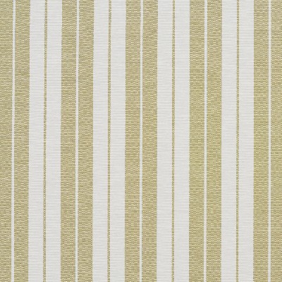 Charlotte Fabrics 1585 Meadow Stripe