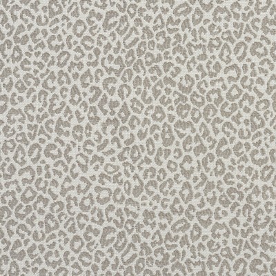 Charlotte Fabrics 1594 Stone Stone