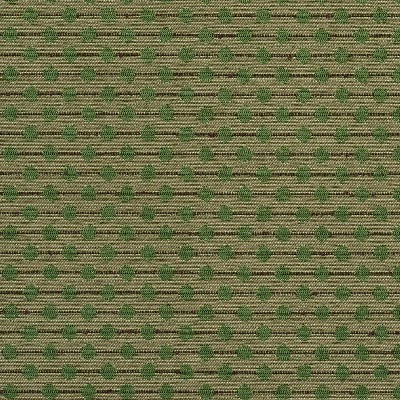 Charlotte Fabrics 1750 Juniper